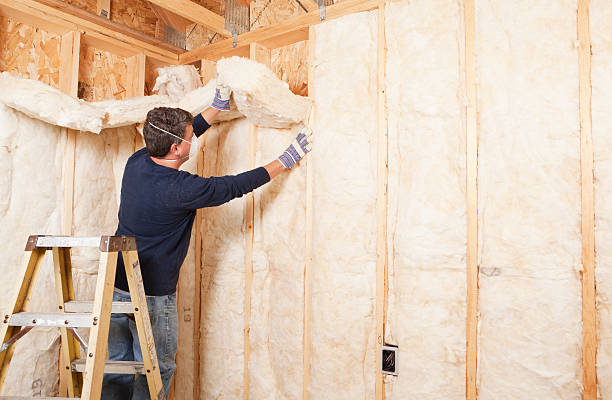 Best Eco-Friendly or Green Insulation Solutions  in Springdale, OH